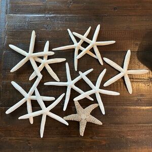 Set of 10 starfish